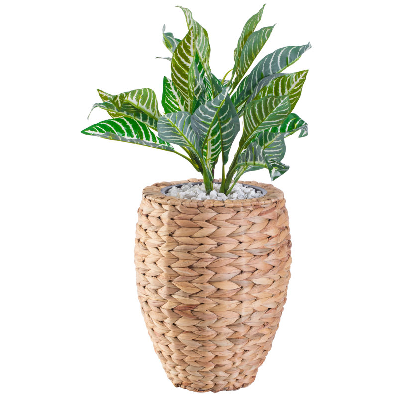Caenas Pot Planter, 13" H x 9.5" W x 9.5" D