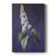 FLORAL Series CCXLI - Gallery Cavas-117860088
