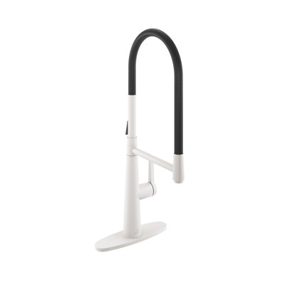Spring Neck Standard Kitchen Faucet with Dual-Function spray head and Deck Plate