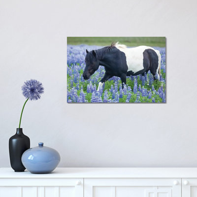 Icelandic Pony and Lupins 1 Piece Wrapped Canvas Wall Art