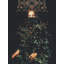 Patience II by Frank Moth by Frank Moth — Botanical Wall Art-1760886859-1760886852-1760886834