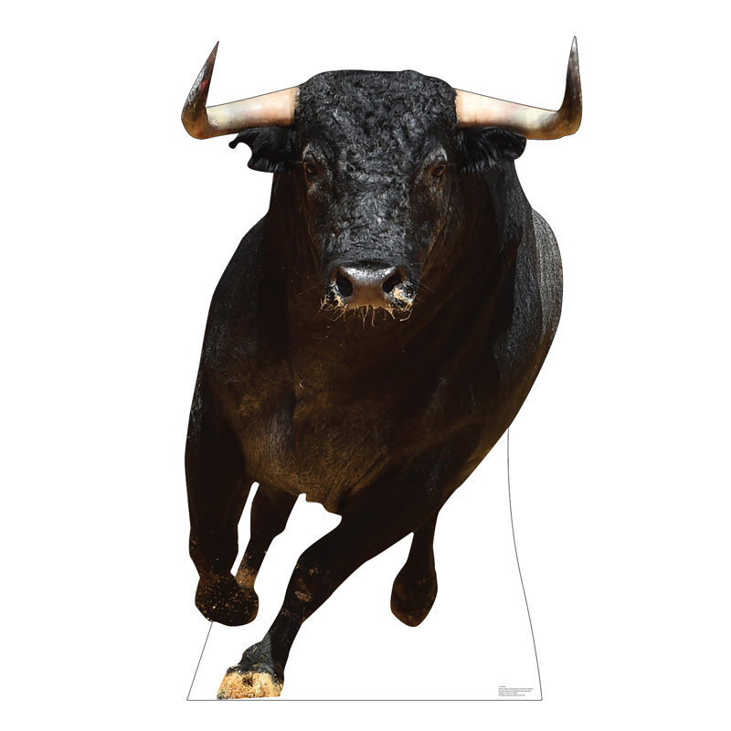 Bull