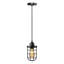 1 - Light Black Caged Pendant-958586954