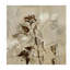 Plants & Flowers Print by Jennifer Hollack-26728877-26728872