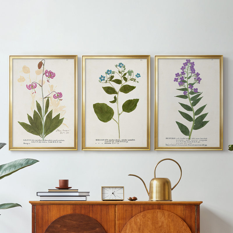 Nature imprimé Botanicals V - Toile tendue avec châssis sur mesure - 3 pièces, H 19 po x l 45 po, Doré
