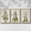 «Munting Botanicals I», ensemble de 3 reproductions encadrées sur toile-97708491-97708492