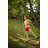 Adventure Sports Skate Swing