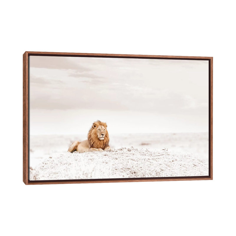 White Lion by Klaus Tiedge - Print on Canvas, Classic Brown Wood Framed, 101.6 cm H x 66.04 cm W