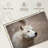 Arctic White Wolf-107887661