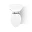 Toilette monopièce allongée économe en eau de 1,28 GPF Adair (siège inclus)-10397007-65043899