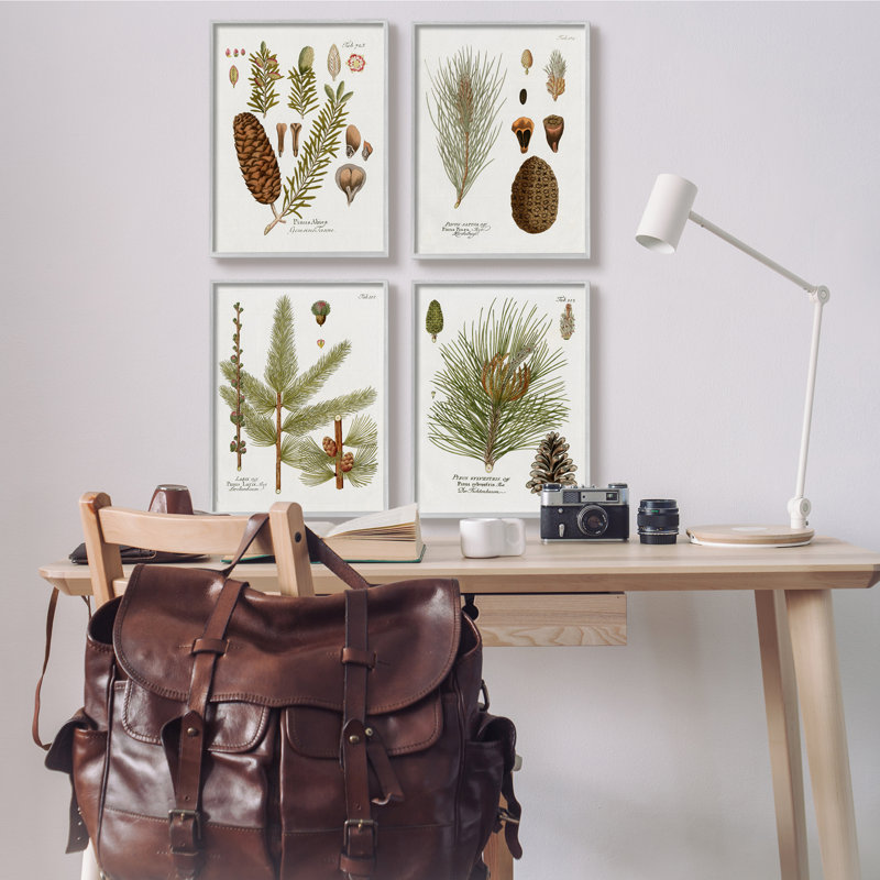 «Vintage Forest Pine», étude illustrée, plantes vertes et brunes, ensemble de 4 pièces d'art texturé sur toile giclée sur toile rustique par Kelly Donovan