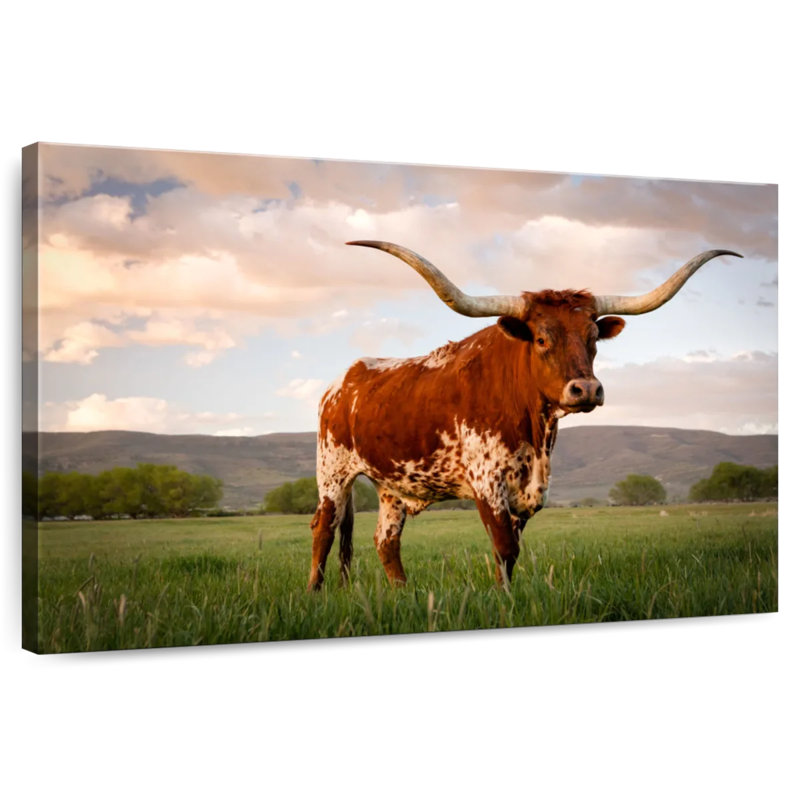 Longhorn brun du Texas, H 34 po x l 51 po