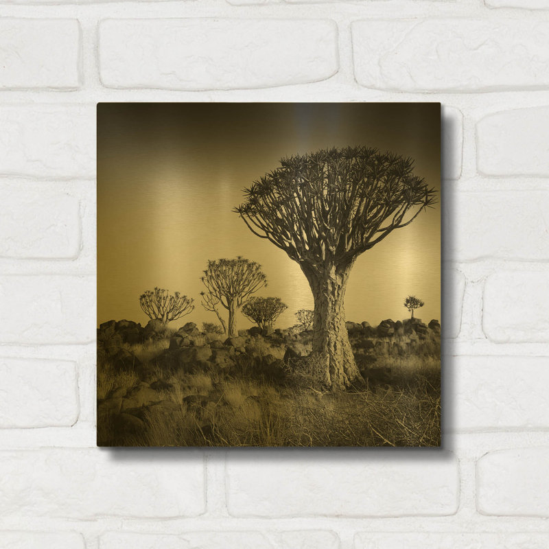 « Arbres à carquois de Namibie » par Nina Papiorek, tableau mural en métal doré, 30,5 x 30,5 cm, 12 po x 12 po