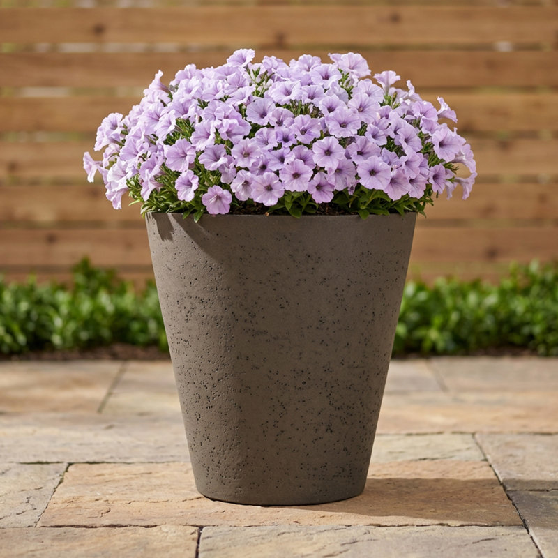 Emerson Self Watering Concrete Texture Pot Planter, 17" H x 16" W x 16" D, Brown