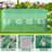Greenhouse Multiple Sizes-92124147-100504715