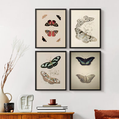 Vintage Animal Print XLVIII  Framed Print - Set of 4