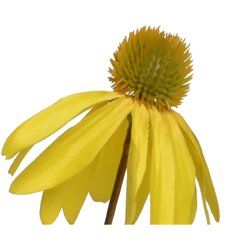 Arrangement, Yellow