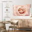 Rose Harnek pêche-108952408