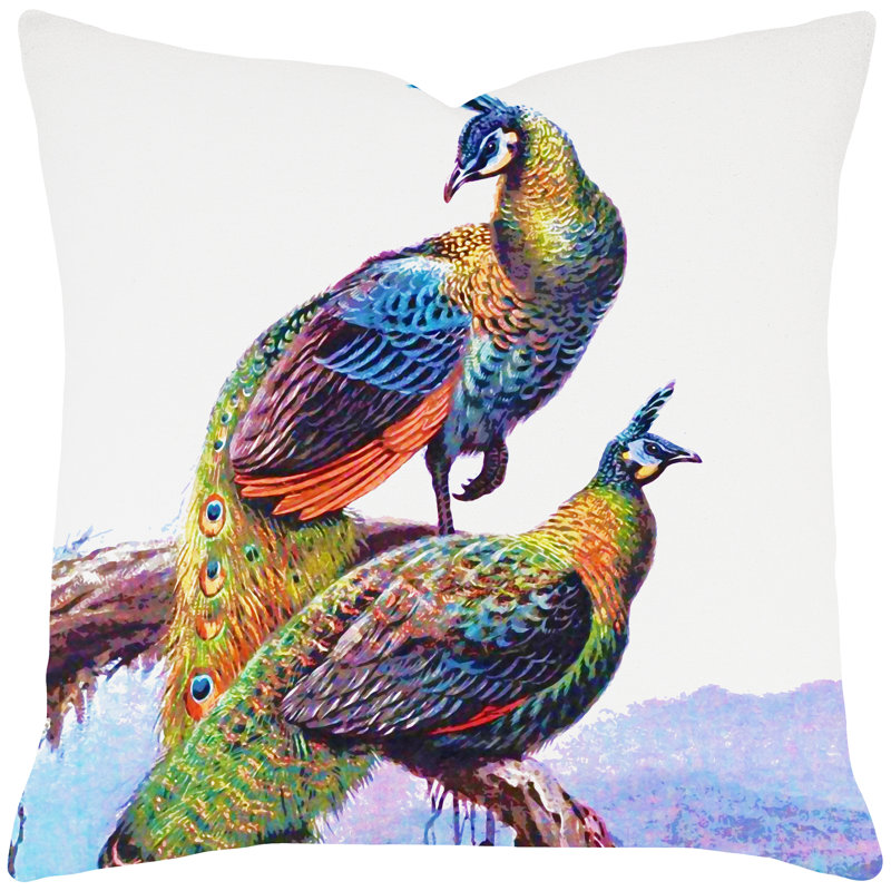 Housse de coussin en coton carré peacock, 20 po x 20 po
