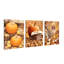 Ensemble de 3 affiches encadrées, décorations murales sur toile sur le thème de la récolte d'automne : citrouilles, livres empilés, hibou dans les feuilles d'automne. Décoration rustique de style ferme pour salon, chambre, décoration de l'Action de grâce et décoration intérieure. Prêtes à accrocher.-763284506