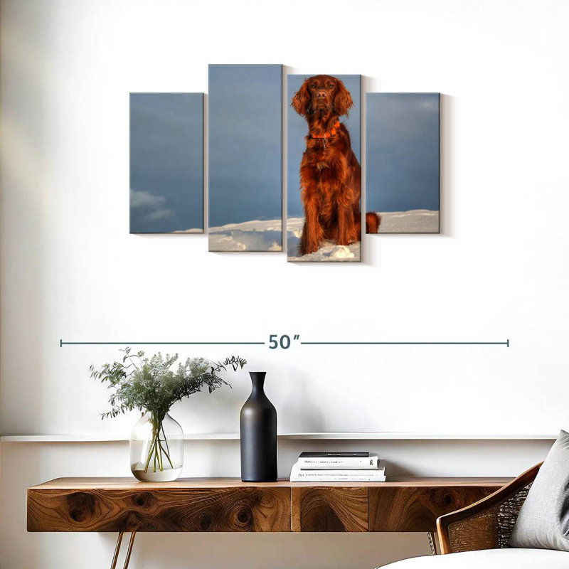 Setter irlandais Brampt sur neige, H 22 po x l 36 po