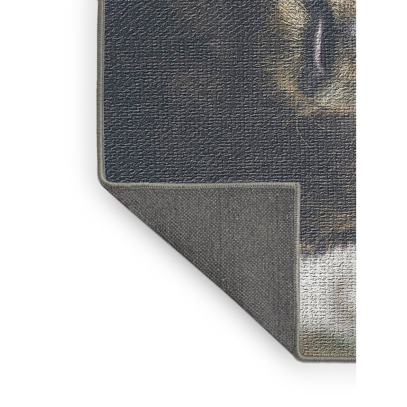 Tapis brun Bear, Rectangle 5 pi x 7 pi