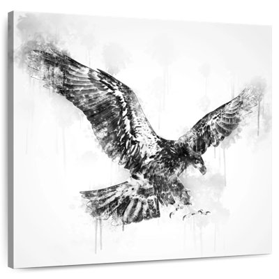 Brampt Eagle Flying Black And White
