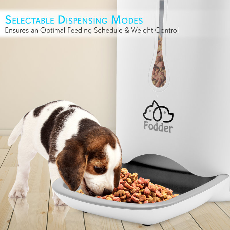 White Smart Automatic Pet Feeder with Voice Recorder