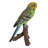 Budgie On Branch Statue