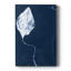 Cyanorphe feuille I - galerie Cavas-1104487196