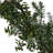 72'' in. Faux Cedar Garland