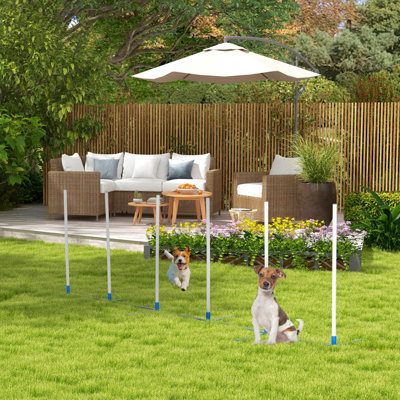 Pawhut Agility tisse des poteaux, équipement de formation pour chien avec kit de rangement pour chien avec sac de rangement