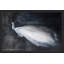 Christine Lindstrom - Wrapped Canvas Painting-1406332608