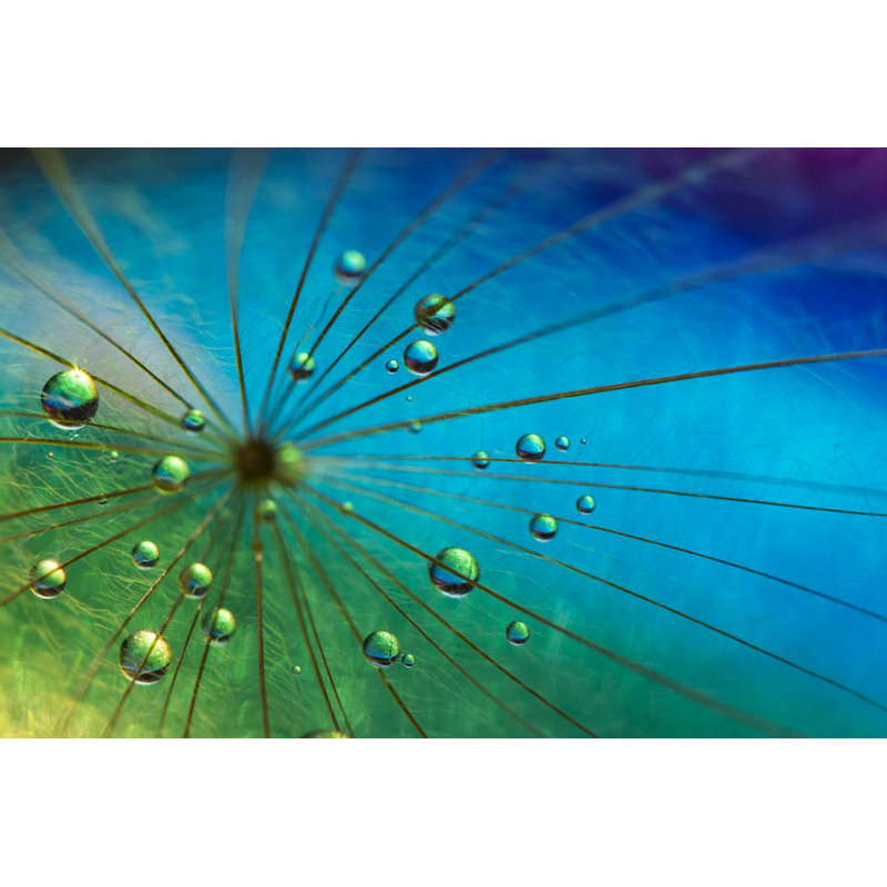 Big Bang - Wrapped Canvas Print, 30cm H x 46cm W x 3.8cm D