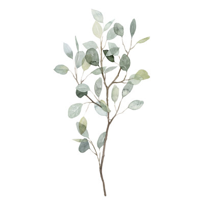 Eucalyptus sablier I