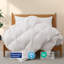 600 Fill Power All Season Down Comforter Duvet Insert-1801501210-1860804986