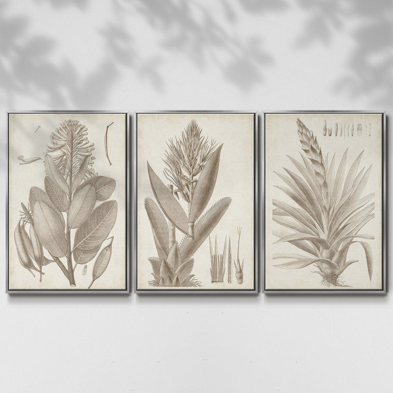 Sépia, plantes exotiques I, ensemble de 3 toiles encadrées, H 27 po x l 54 po, Argent