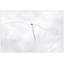 Serene Hike 3 Print by Thom Filicia