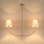Beacon 2-Light Chandelier