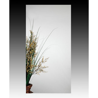 15'' W Mirrored Medicine Cabinet