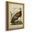 Toile de qualité supérieure Audubon Wild Turquie, prête à être accrochée-2141616639
