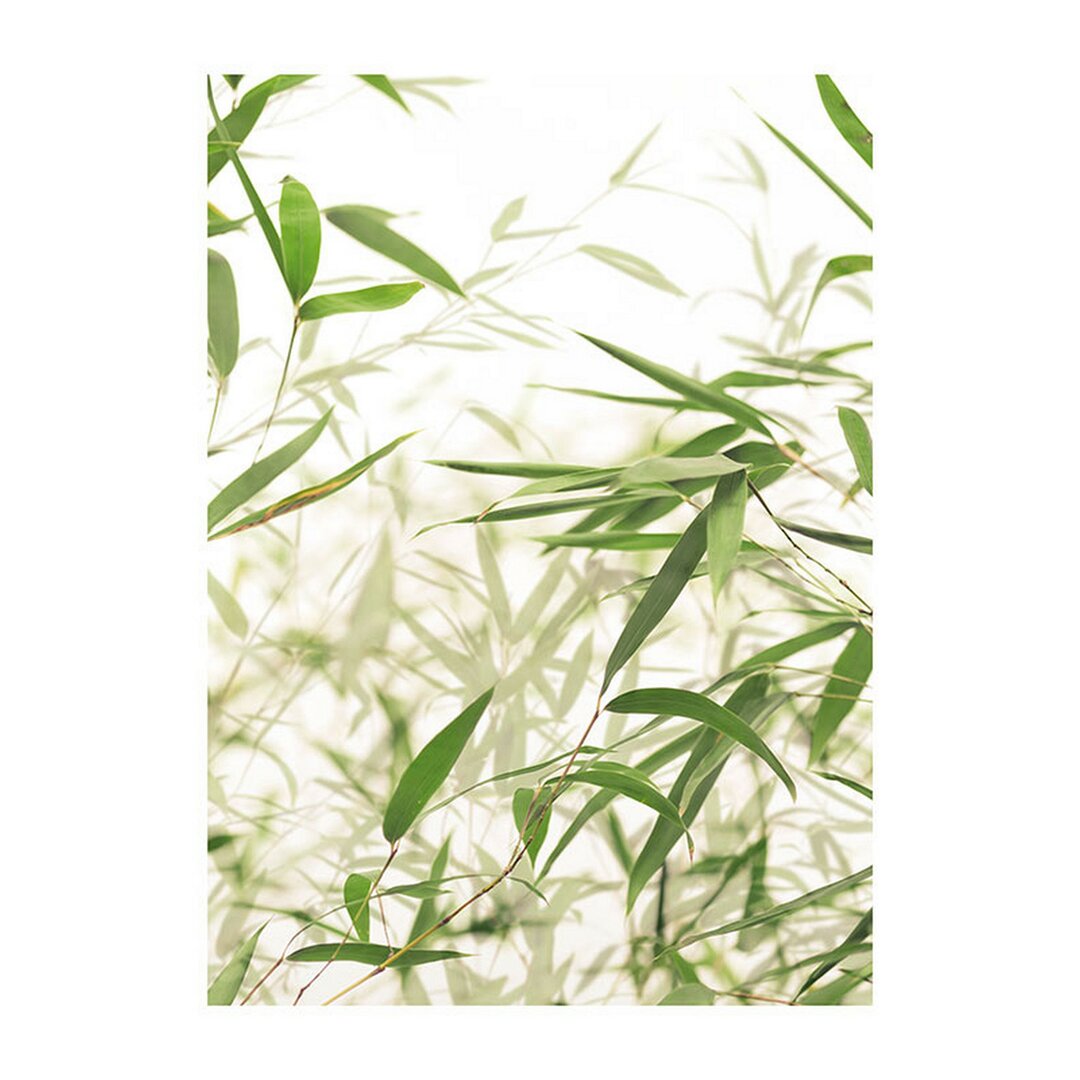 Poster Bamboo Leaves