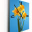 Horloges murales Virna - Daffodils-1148456196