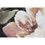 Essentials Eleanor Black, Blush, Pink, Rose, Peach And Green Polyester Area Rug-48880088