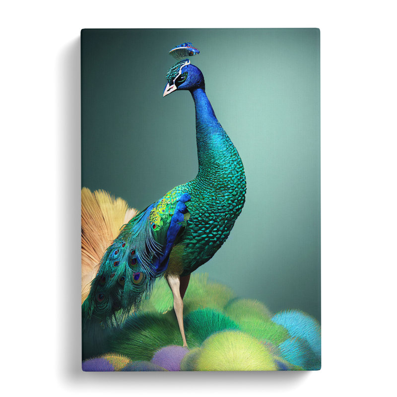 Amazing Peacock - Wrapped Canvas, 50cm H x 35cm W x 3cm D