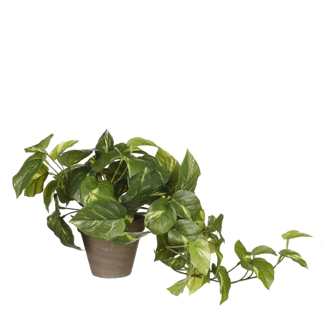 Kunstpflanze Pothos