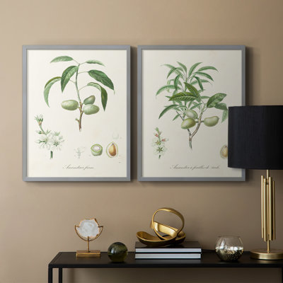 Impression encadrée botanique antique I-Premium - prête à être accrochée - aucun clou requis