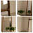 Trapezoid Solid Wood Full Length Mirrors