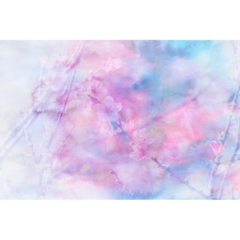 Image de fleurs de cerisier Flarrie par Nithid, H 8 po x l 12 po