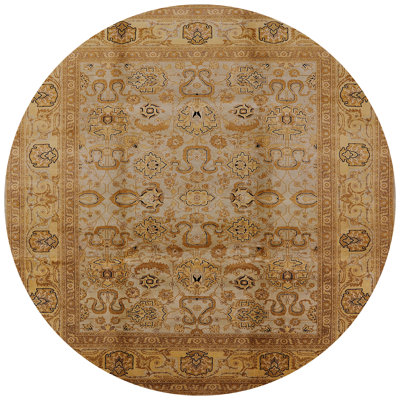Oriental Indoor Rug